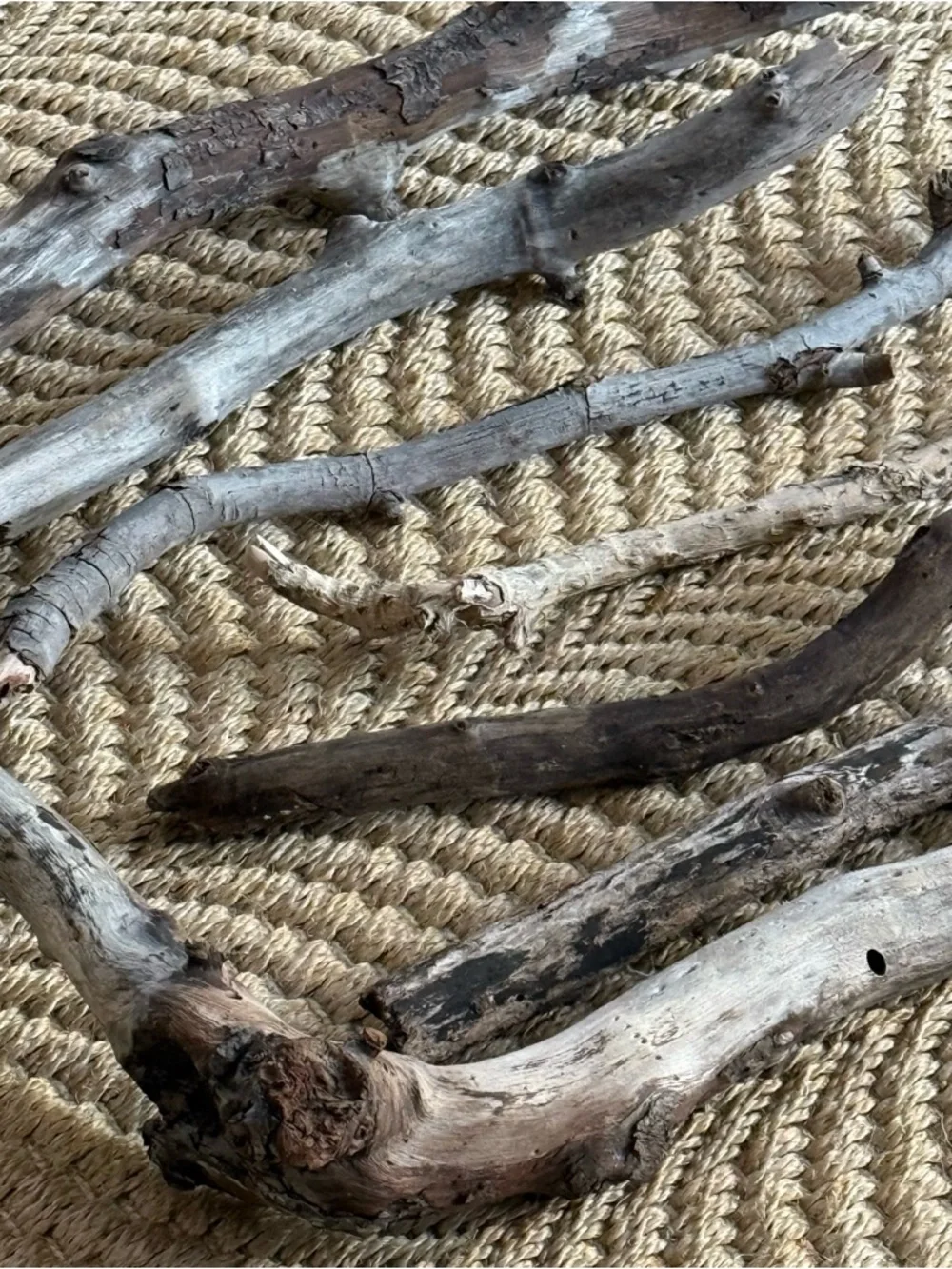 Natural Driftwood Bundle of 7 Neutral Wood South Florida Beach Wedding Decor